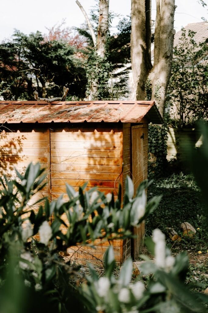 wooden shed in garden - surface pour un abri de jardin