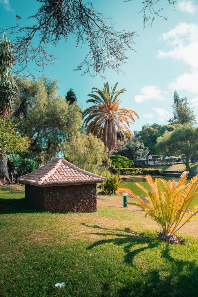 a small hut in the middle of a lush green park - surface pour un abri de jardin