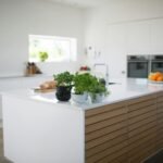 green leafed plants on kitchen island