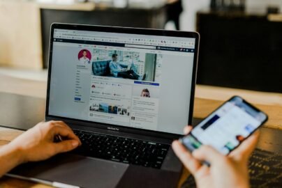 service de netlinking
