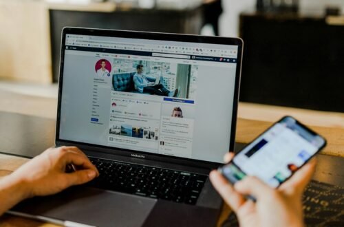service de netlinking